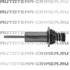 Плунжер 40 x 119 (CAR132570 CG)