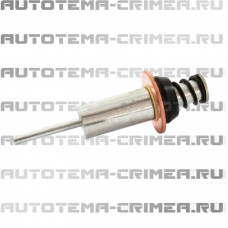 Плунжер 39.6x119.2 (CAR233374 TT)